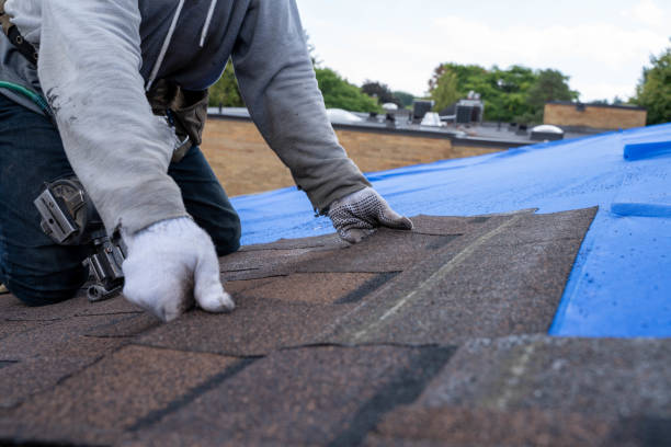 Best Chimney Flashing Repair  in Ceres, CA